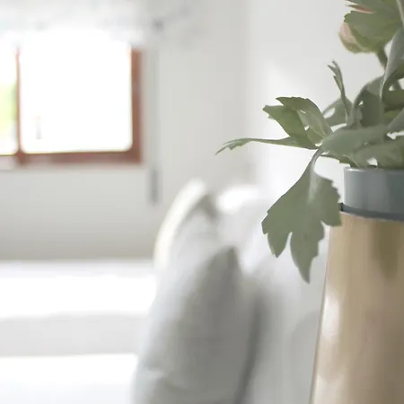 The Gallery * 波尔图